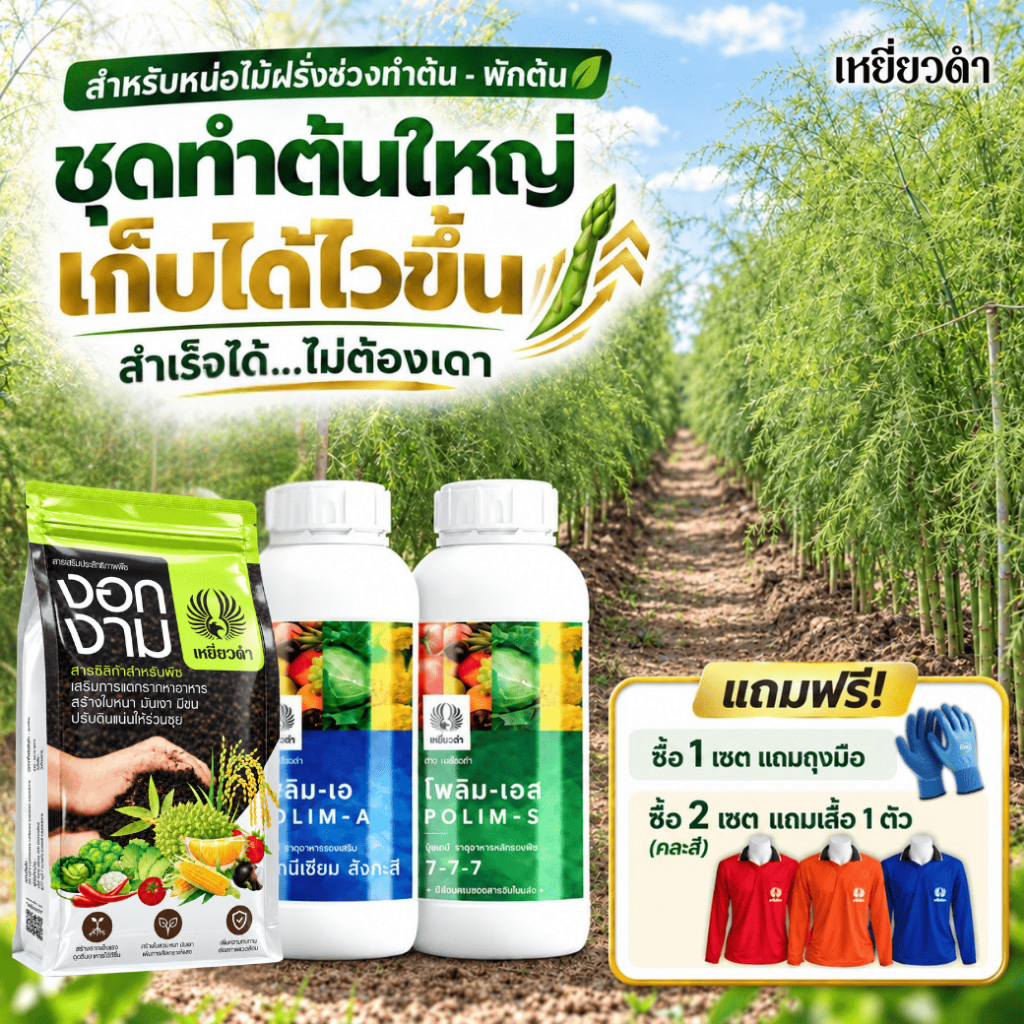 [ปุ๋ยน้ำ3พลัง] สุดยอดปุ๋ยทำใบทุเรียน มันสำปะหลัง หน่อไม้ฝรั่ง พริก ผักใบเก็บได้ไวขึ้น ชึดฉีดพ่นที่ดินและใบ ปุ๋ยเหยี่ยวดำ