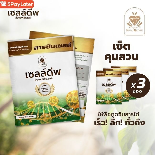 พฤกษ์มณี เซลล์ดีพ เซต3ซอง X 30CC สารซึมเซลล์ ช่วยเพิ่มการดูด