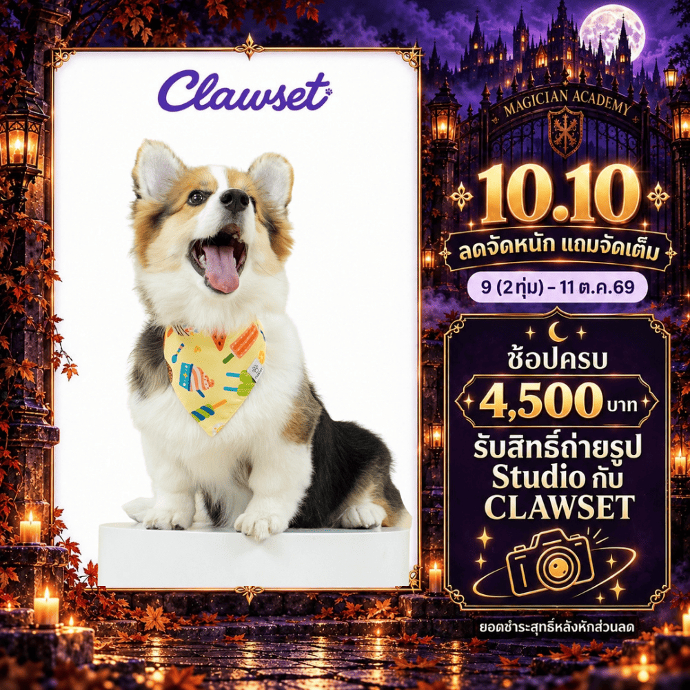 CLAWSET باندانا للحيوانات I'm So Hungry — صورة 2