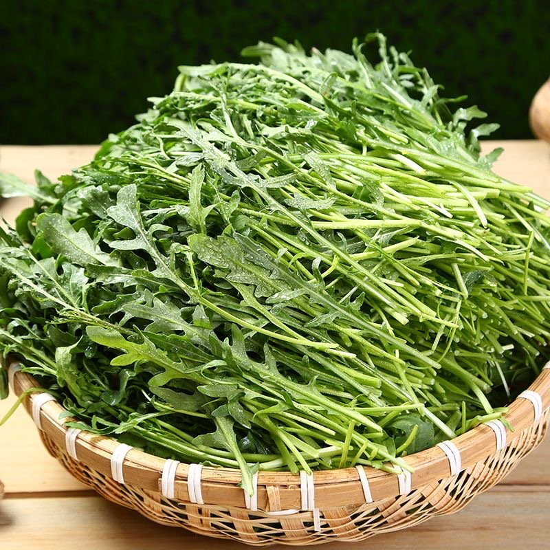ARUGULA SEEDS (400 seeds) - Rocket Arugula