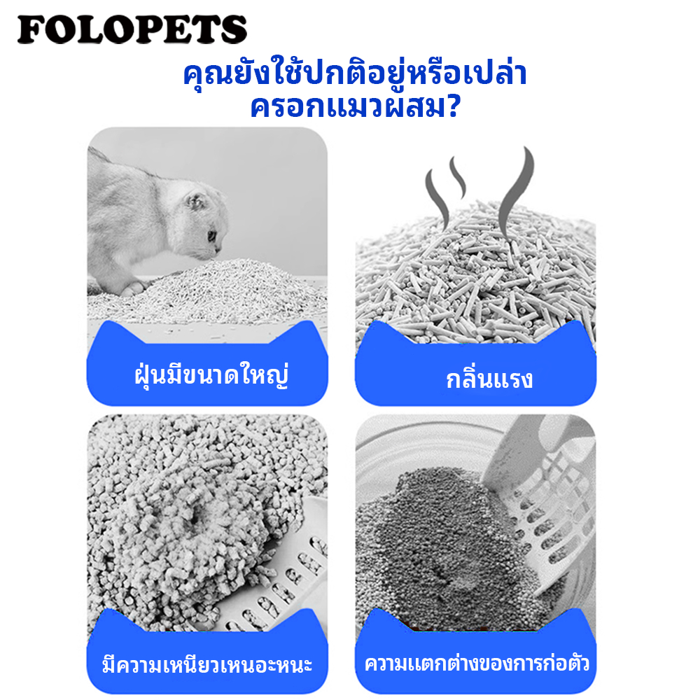 รูปภาพ 6