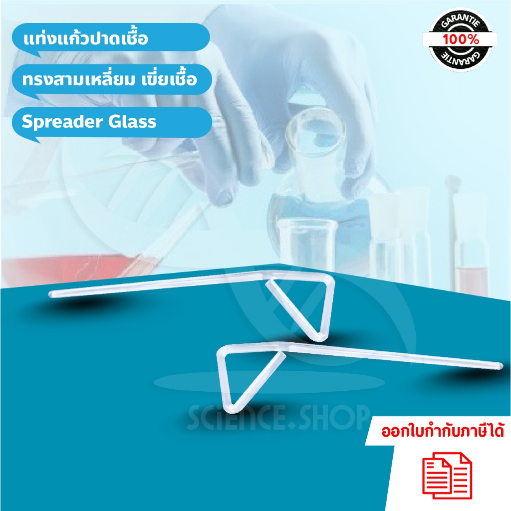 แท่งแก้วปาดเชื้อ (ทรงสามเหลี่ยม) เขี่ยเชื้อ Spreader Glass