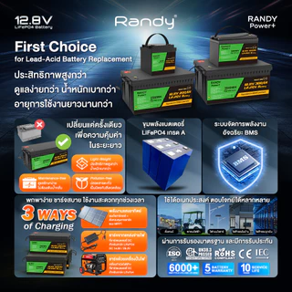 Randy&EVE Energy แบตเตอรี่LiFePO4 12.8V 50AH-300AH แบตเตอรี่ลิเธียมเกรดA ประกัน5ปีอายุการใช้งาน10ปี+