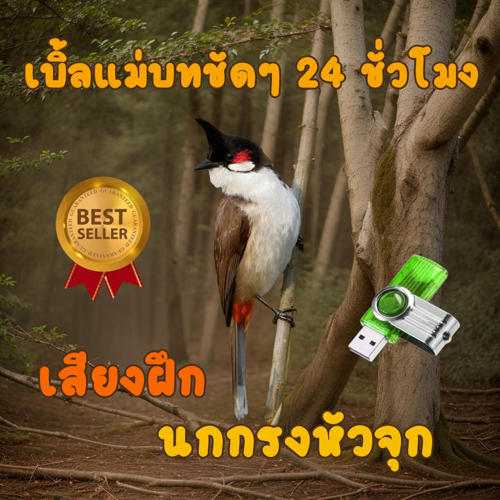 เสียงนกกรงหัวจุกเบิ้ลแม่บทชัดๆ เสียงฝึกนก USBแฟลชไดร์ฟ