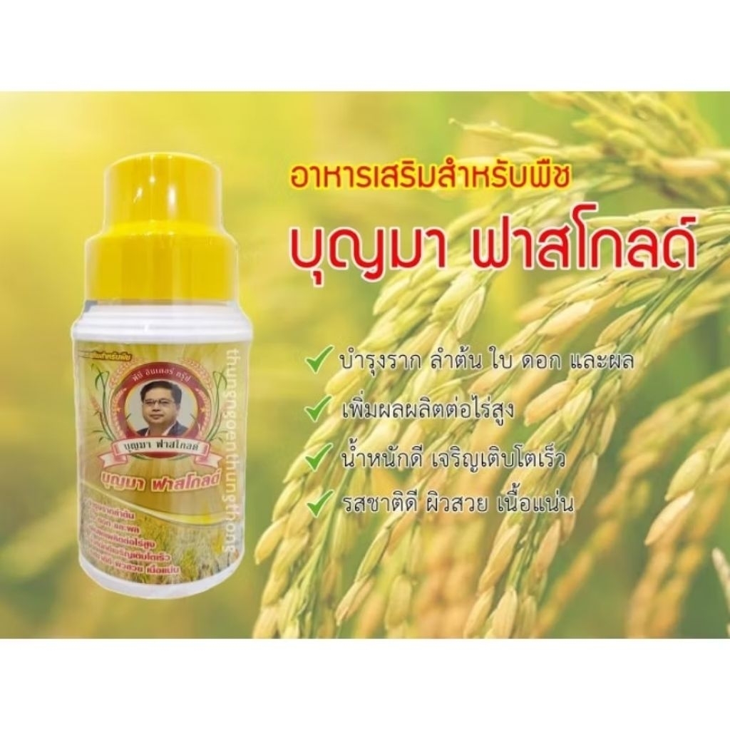 อาหารเสริมสำหรับพืช บุญมาฟาสโกลด์ ขนาด 500 ซีซี x8 ขวด