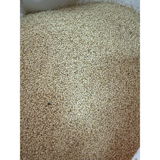 มิลเล็ทขาว สำหรับ นกหงส์หยก 10 กิโลกรัม