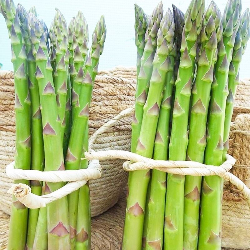 100% Original Organic Asparagus Seeds for Planting (10 Seed ) High Yield F1 Asparagus Seeds Balcony 