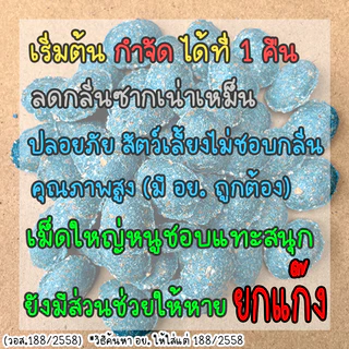 เหยื่อกำจัดหนู (ซากแห้ง) แท้! ล่อหนูดีมาก 1 วัน เริ่มต้นโดยเฉลี่ย (ซากไม่มีกลิ่น) สำเร็จรูป