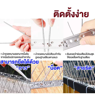 【พร้อมส่ง】หนามกันนก กันนกเกาะ ยาวเส้นละ 50 ซม. หนาม 20 คุ่ กันนกพิราบ อุปกรณ์ไล่นก ไล่นกพิราบ หนามไล่นก Bird Spikes