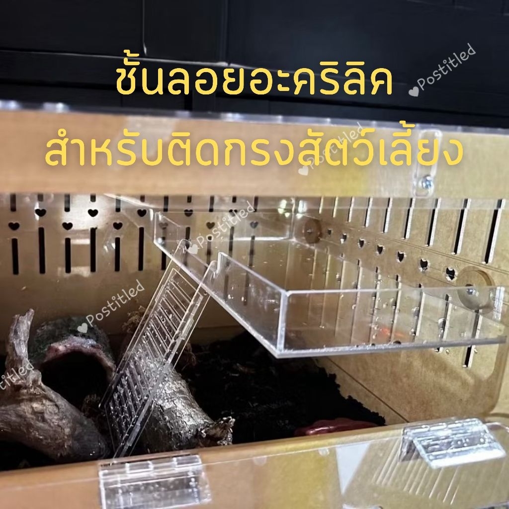 ชั้นลอยอะคริลิค ชั้นลอยแฮมเตอร์ หรือสัตว์เล็ก บันไดอะคริลิค