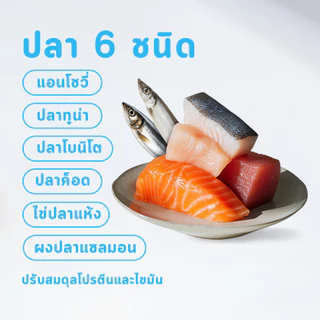 MR.Vet อาหารแมว T4 1กก. 6fish with Freeze Dried อาหารแมวแห้ง รโฮลิสติก สำหรับแมวในร่ม ดูแลแบบ Low Sensitivity