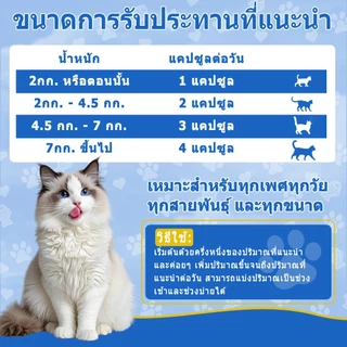 Popoo Multivitamins for Cats Supplements วิตามินแมว บำรุงสะโพกและข้อ ผิวหนังและขน การทำงานของลำไส้ อาหารแมว 120 แคปซูล