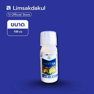 โอเบรอน สไปโรมีซิเฟน 100cc ป้องกันกำจัดไรแดงแอฟริกัน กำจัดไรขาว