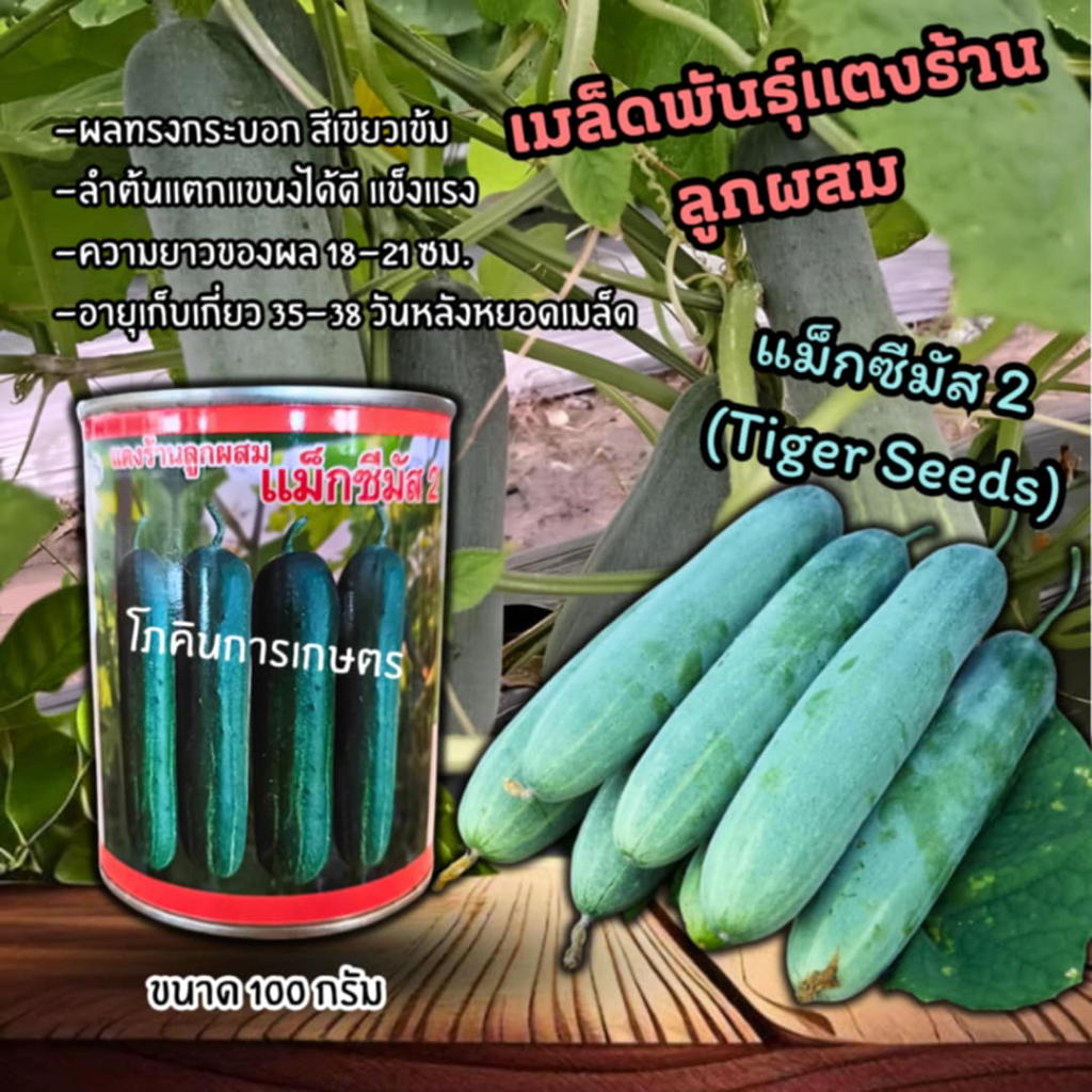 เมล็ดพันธุ์แตงร้านลูกผสม แม็กสิมัส 2 (Tiger seeds) ขนาด 100 กรัม