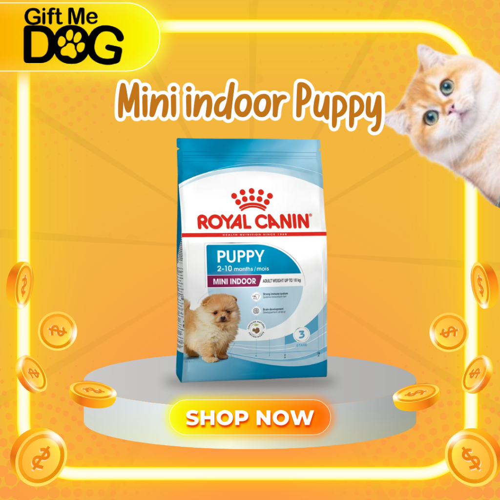 Royal Canin MINI INDOOR PUPPY โรยัลคานิน ลูกสุนัขพันธุ์เล็กเลี้ยงในบ้าน ขนาด500g