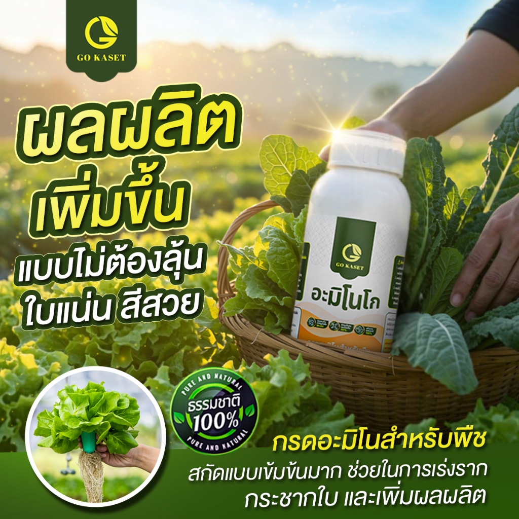 [3ขวด] อะมิโนโก(ขวดเล็ก) 500 ML - AMINO GO กรดอะมิโนสำคัญต่อพืช19ชนิด สูตรออร์แกนิค ธรรมชาติ100% - รูปที่ 4