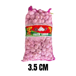 กระเทียมจีนหัวเล็ก 3.5CM ยกกระสอบ9.5-10KG
