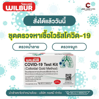 ชุดตรวจโควิด ATK Wilbur และ Latorria fastep 1กล่องต่อ20ชุดตรวจ covid-19 ชุดตรวจผลแม่นยำ
