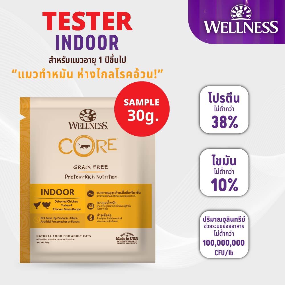 WELLNESS CORE عينة طعام قطط Indoor ‏30 غ — صورة 3