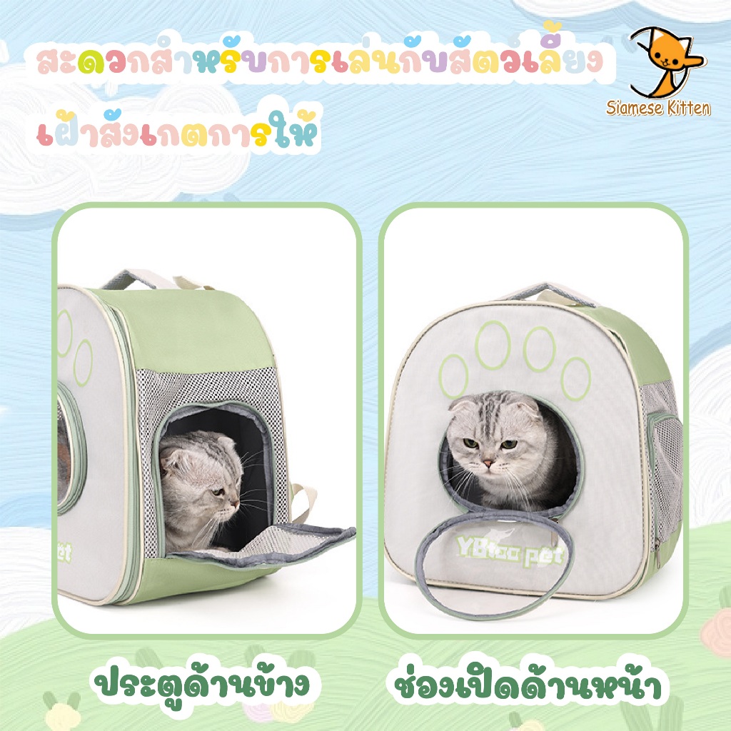 กระเป๋าใส่สัตว์เลี้ยงพกพาไปข้างนอก เหมาะกับน้องแมวและน้องหมา กระเป๋าใส่สัตว์เลี้ยงแบบใส พับได้ ราคา ถูกที่สุด ดีลบีเคเค แกลเลอรีภาพที่ 3