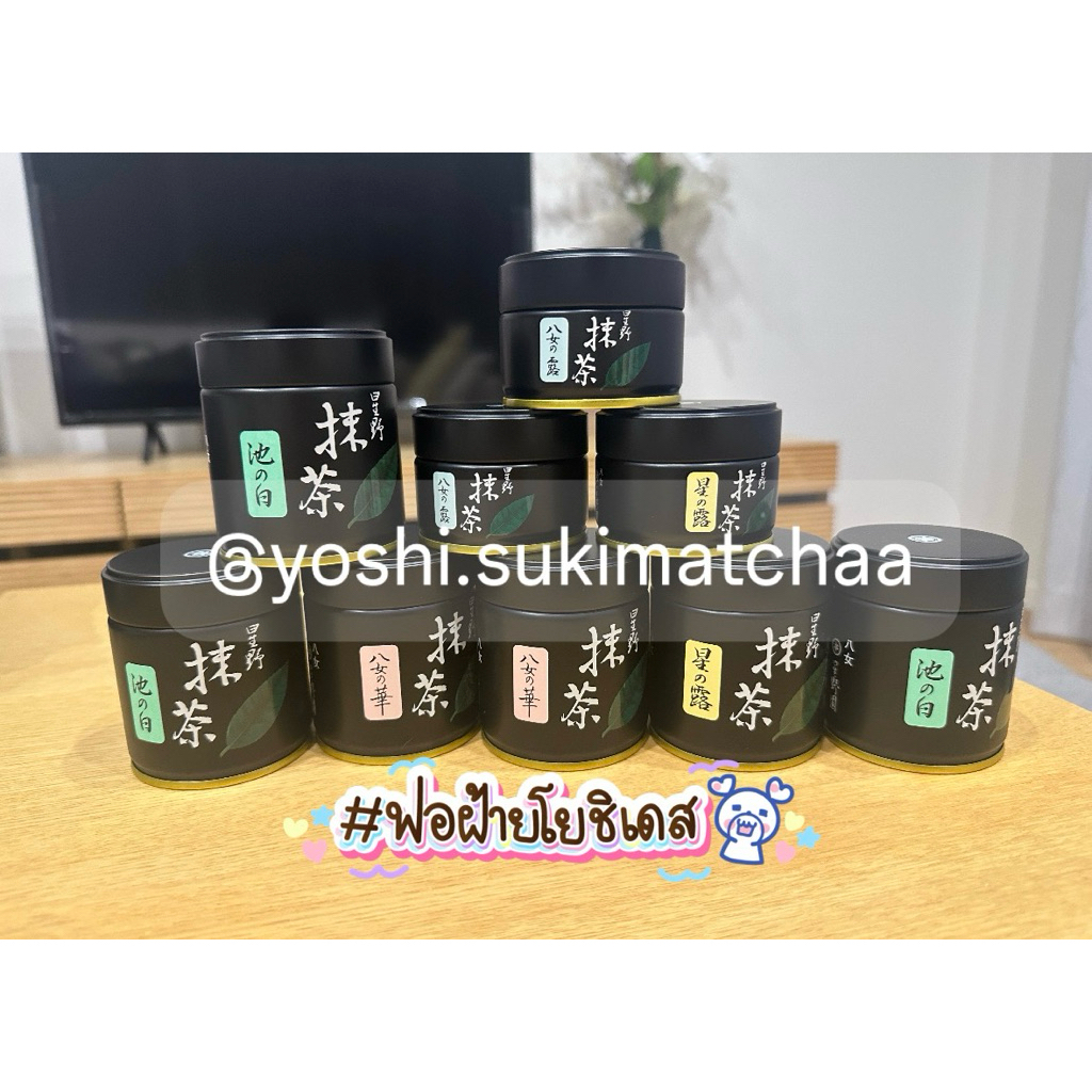 Hoshino Matcha ของแท้ พร้อมส่ง