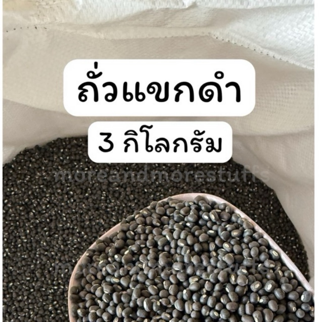 ถั่วแขกดำ ถั่วแขกดำเพาะงอก (3 กิโลกรัม) ถั่วดำ ถั่วเพาะงอก