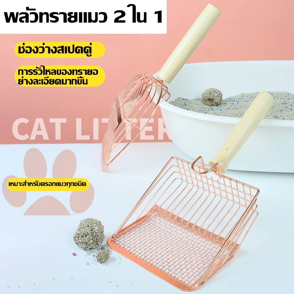 รูปภาพ 2