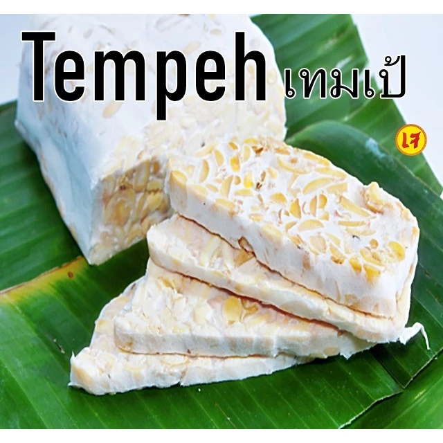 เทมเป้สด(บ่มเอง)(สั่ง5แถม1)ถั่วเหลืองหมักจากธรรมชาติไม่ผ่านกระบวนการปรุงแต่งใดๆ