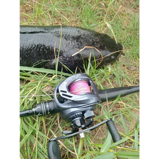 🐬HAIYI FISHING🐬ชุดตกปลาใหม่ชุดเบ็ดตกปลาปั่น รอกตกปลา 1.8 ม. / 2.1 ม. และ 18+1BB 7.2: 1 GR ชุดรอกตกปลา คันเบ็ดคาร์บอน