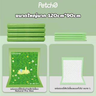 Petcho (Cocoyo) แผ่นรองฉี่สุนัข ขนาดใหญ่พิเศษ แผ่นรองฉี่หญ้า ที่หมาชอบ กระตุ้นการขับถ่ายปัสสาวะ รูดูดซับแบบจุด