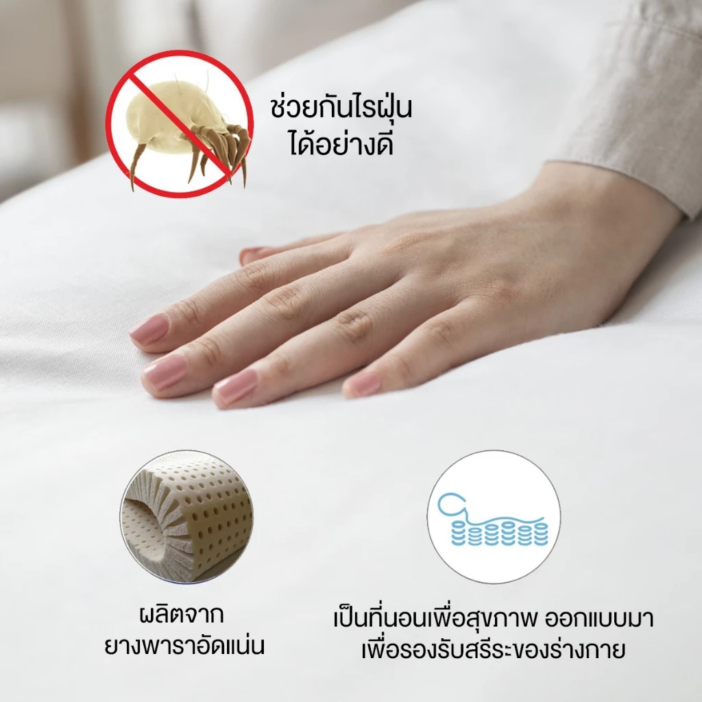 ที่นอนยางพาราอัดพับได้ 4 ตอน ขนาด 3 ฟุต thumbnail 5
