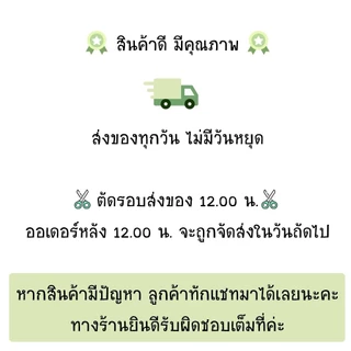 สายพาน เครื่องตัดหญ้า 4 จังหวะ GX35