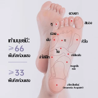 【ลดล้างสต๊อก】ลูกกลิ้งนวดเท้า พร้อมโหนดแม่เหล็ก เครื่องมือบำบัดการกระตุ้นอวัยวะสำคัญ ใช้ในบ้าน