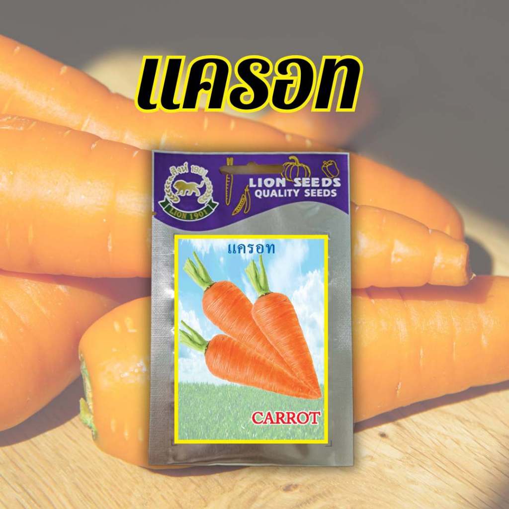 แครอท CARROT (เมล็ดพันธุ์คุณภาพ)