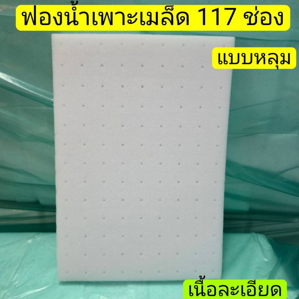 ฟองน้ำเพาะเมล็ด 117 ช่อง (แบบหลุม) เพาะกล้า เนื้อละเอียด ปลูกผักไฮโดรโปนิกส์