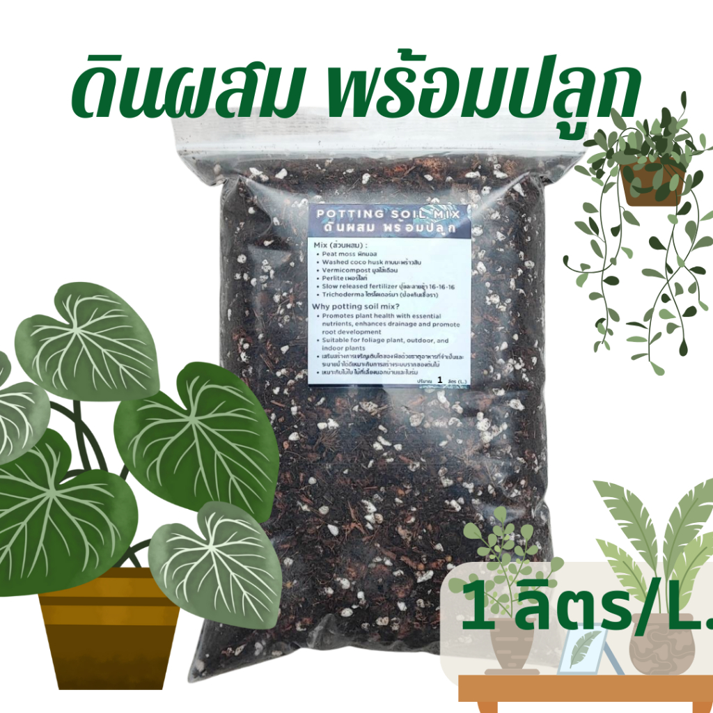 ดินผสม พร้อมปลูก ไม้ใบ ไม้ประดับ ผสมสารป้องกันเชื้อราและรากเน่า House plant potting mixed soil