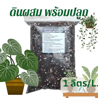 ดินผสม พร้อมปลูก ไม้ใบ ไม้ประดับ ผสมสารป้องกันเชื้อราและรากเน่า House plant potting mixed soil