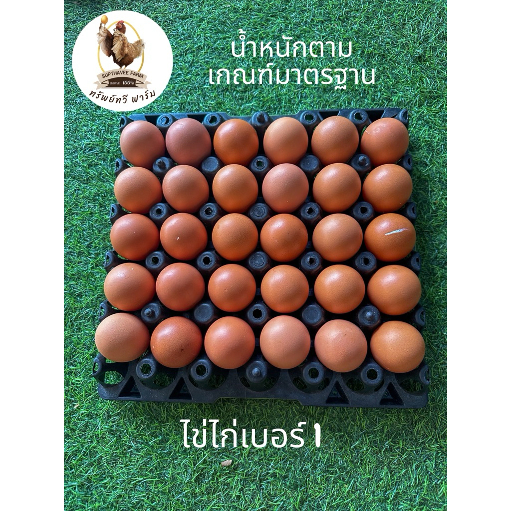 ไข่ไก่ออร์แกนิก100% เบอร์ 1 ไข่ไก่สดทำความสะอาดทุกลูก ไข่แดงธรรมชาติไข่ขาวเป็นวุ้นสองชั้นไม่เหลว สดใหม่ต่อวัน