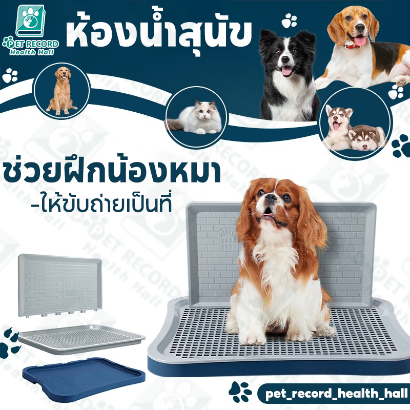 ห้องน้ำสุนัข แผ่นรองฉี่สุนัข 2 ชั้น ห้องน้ำสุนัขขอบเหลี่ยมพร้อมตะแกรงถาด ก้านถอดได้