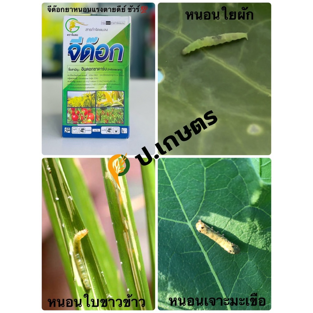 Thumbnail 9