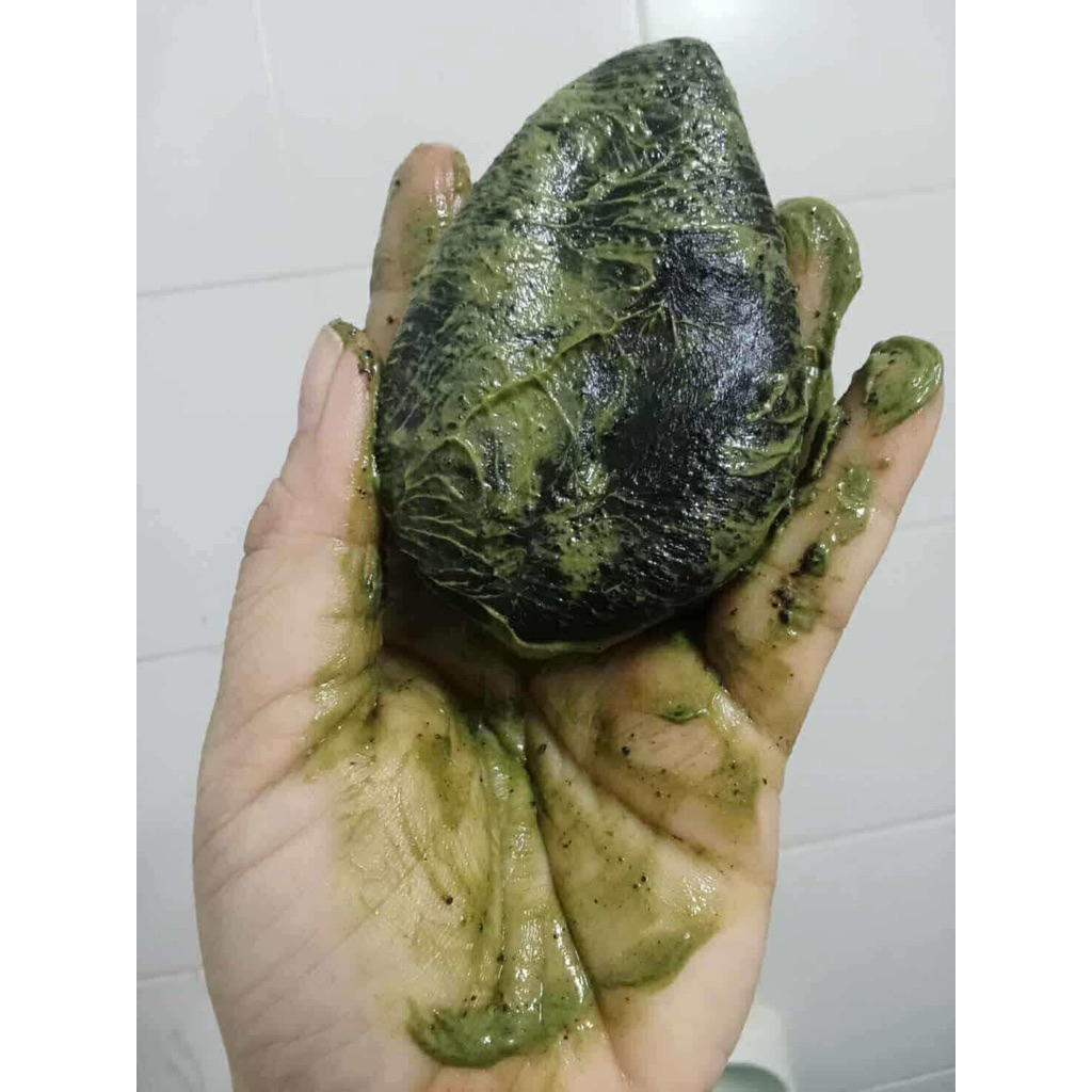 สบู่สคับกาแฟผสมชาเขียว ขนาด 70 กรัม อัดแน่นด้วยสมุนไพร สินค้าเป็นถุงซีล เหมาะสำหรับผิวกาย - รูปที่ 2