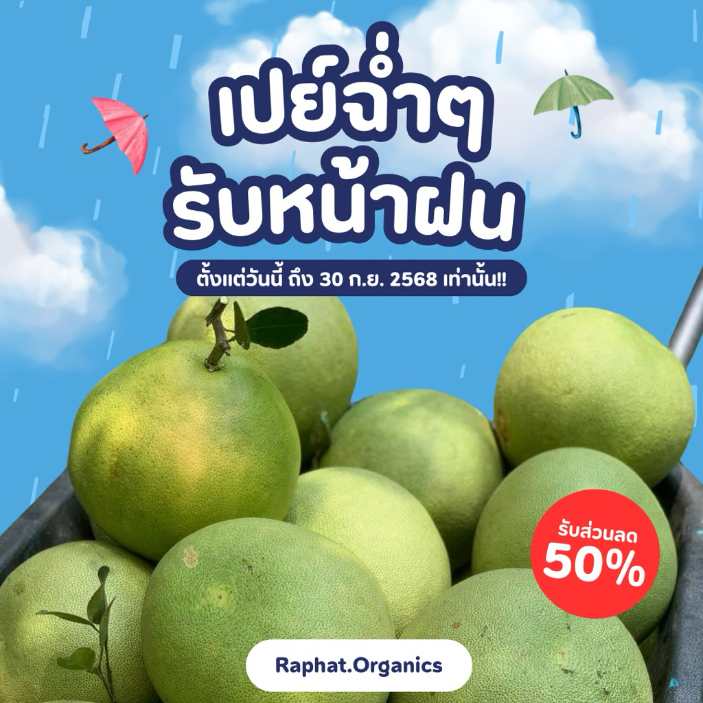 ส้มโอยกแก๊ง ส้มโอไซส์เล็ก S 0.9-1.0