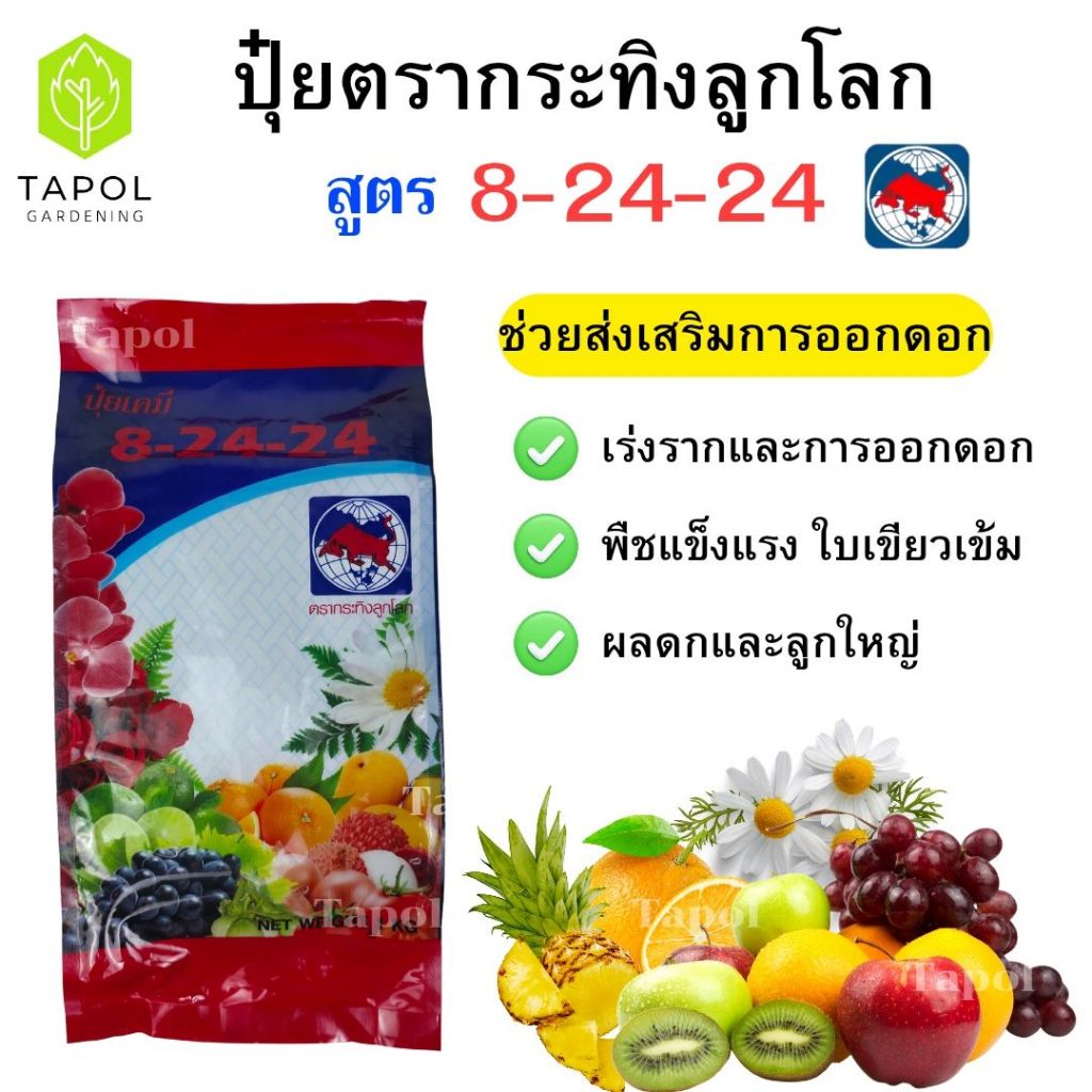 ปุ๋ยตรากระทิงลูกโลก 8-24-24 สูตรเร่งดอก เร่งผล ปุ๋ยเร่งดอก ปุ๋ยเร่งผล ส่งเสริมการออกดอก ปุ๋ยไม้ดอก บ