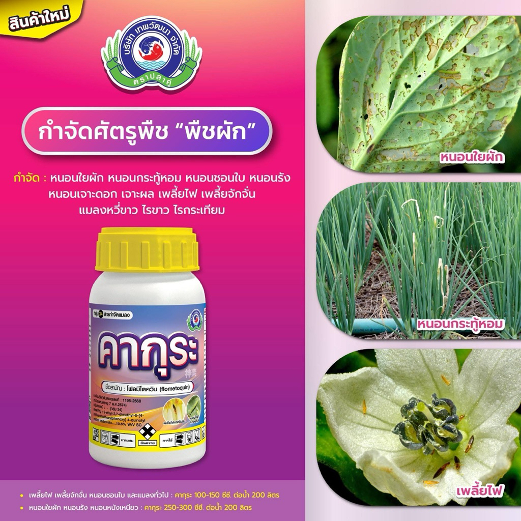 ขนาด 250 ซีซี คากุระ+ขุนพล สินค้าพิเศษ ได้ 2 ชิ้น เทพวัฒนา กำจัดเพลี้ยไฟ เพลี้ยจั่กจั่น หนอน ยาเย็นไม่ทำลายเกสรดอก - รูปที่ 5