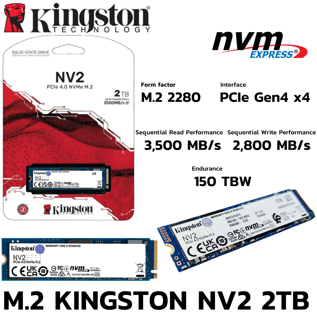 M.2 M.2 2 TB SSD (เอสเอสดี) KINGSTON NV2 - PCIe 4/NVMe M.2 2280 (SNV2S/2000G)