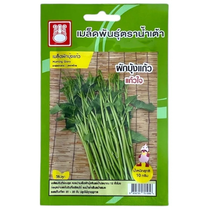 เมล็ดพันธ์ผักบุ้งแก้ว🍀🍀
