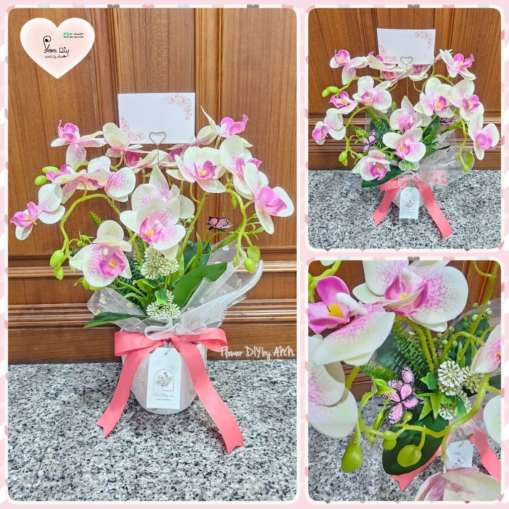 แจกันดอกกล้วยไม้ฟาแลนด์ กระถางกล้วยไม้ - รูปที่ 3