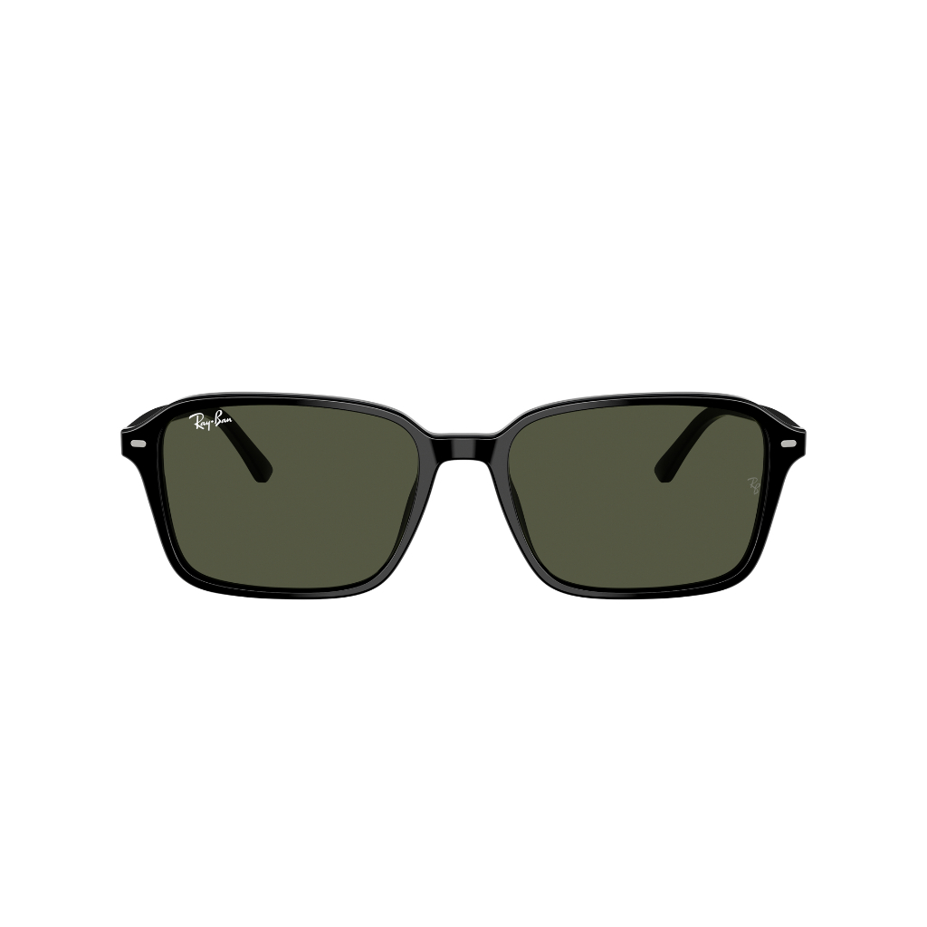RAY-BAN RAIMOND RB2231F 901/31 แว่นกันแดด