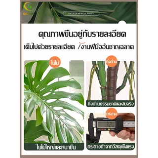 GAIDING【อัตราการซื้อคืน 99.9%ต้นไม้ปลอม-ประดิษฐ์ ต้นไม้ปลอมใหญ่ สูง120/150/180ซม ไม่มีกลิ่นแปลกๆ ไม่จำเป็นต้องบำรุงรักษา