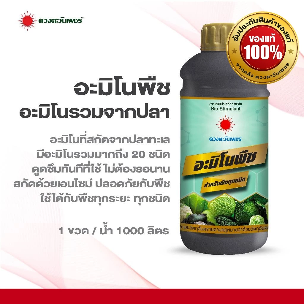อะมิโนพืช สูตรสำหรับพืชทุกชนิด 1 ลิตร ใหม่มีอะมิโน 20ชนิด สกัดจากปลาทะเลน้ำลึก บำรุงต้นใบ ความเขียว